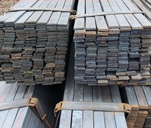 Полоса электротехническая 10848