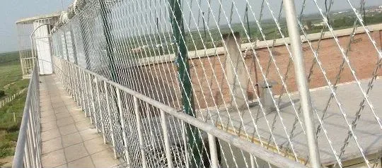 Сетка колючая Гюрза